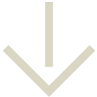 ↓